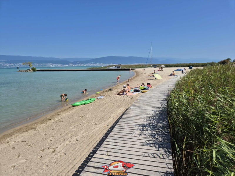 La plage de Gletterens au bord du lac de Neuchâtel.