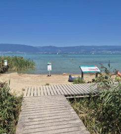 🏖️ Plage de Gletterens