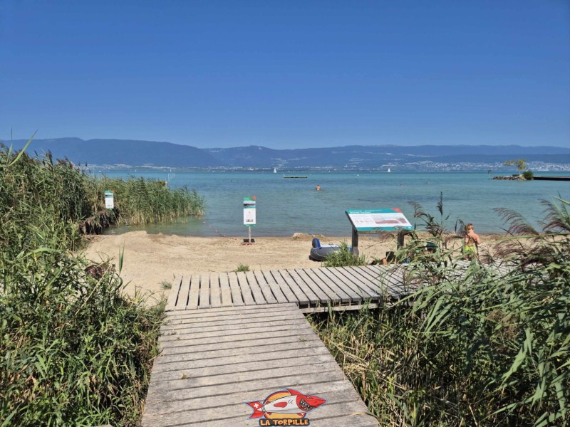 Coté Ouest. Plage de Gletterens, Broye fribourgeoise, lac de Neuchâtel.