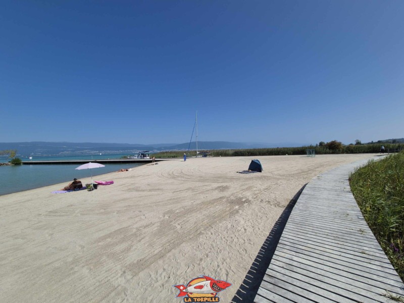 Côté Est. Plage de Gletterens, Broye fribourgeoise, lac de Neuchâtel.