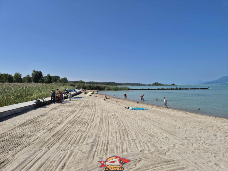 Côté Est. Plage de Gletterens, Broye fribourgeoise, lac de Neuchâtel.