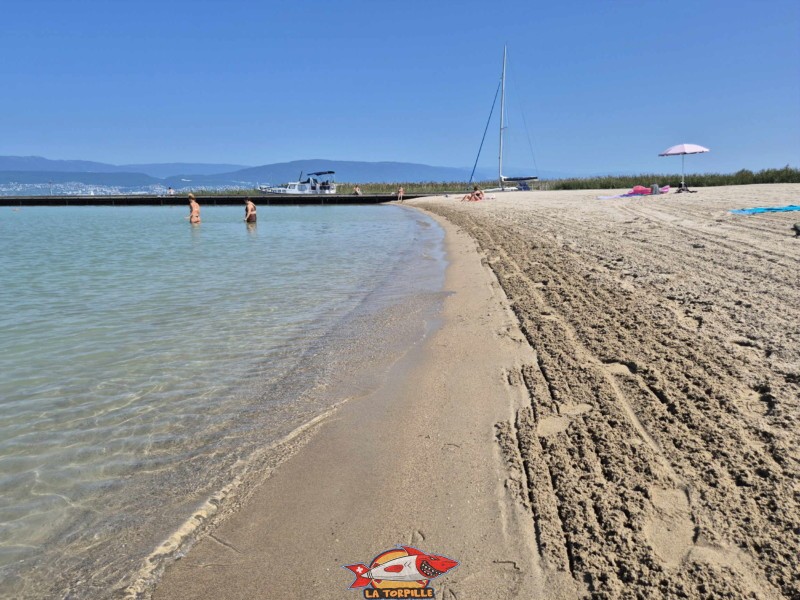 Bord. Plage de Gletterens, Broye fribourgeoise, lac de Neuchâtel.