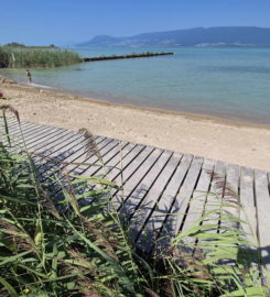 🏖️ Plage de Gletterens