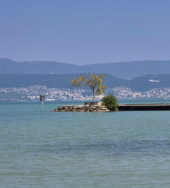 🏖️ Plage de Gletterens