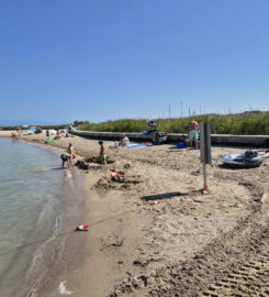 🏖️ Plage de Gletterens