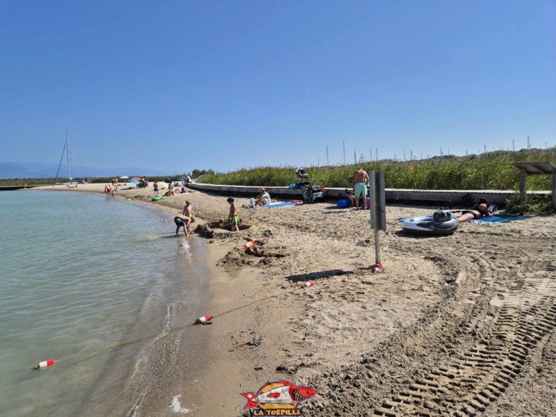 Bord. Plage de Gletterens, Broye fribourgeoise, lac de Neuchâtel.