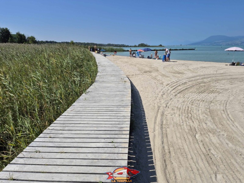 Passerelle. Plage de Gletterens, Broye fribourgeoise, lac de Neuchâtel.