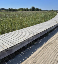 🏖️ Plage de Gletterens
