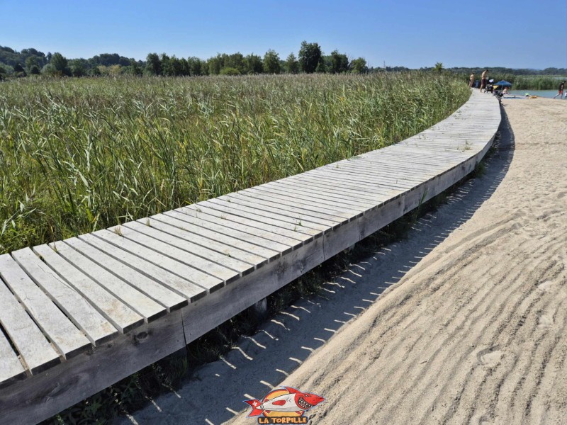 Passerelle. Plage de Gletterens, Broye fribourgeoise, lac de Neuchâtel.