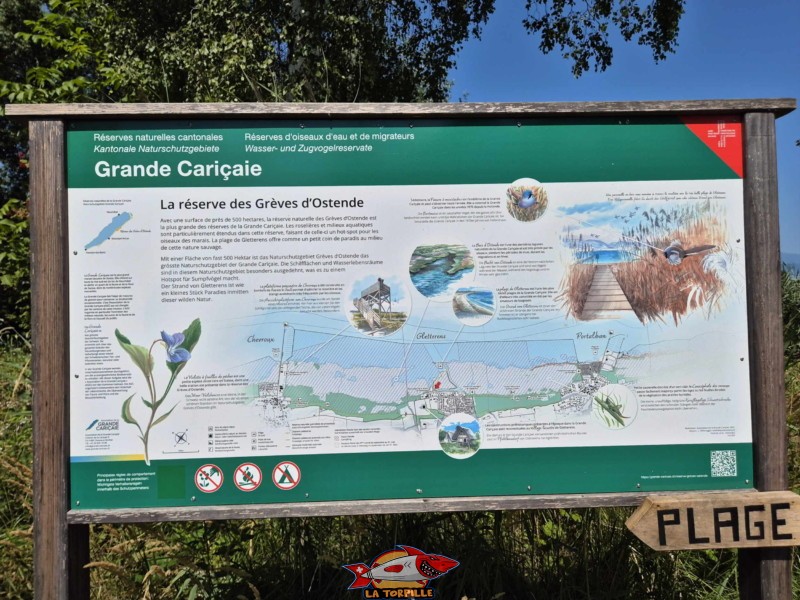 La plage de Gletterens se trouve dans la réserve des Grèves d'Ostende. Située entre Chevroux et Portalban, c'est la plus grande des réserves de la Grande Cariçaie avec près de 500 hectares. Plage de Gletterens, Broye fribourgeoise, lac de Neuchâtel.