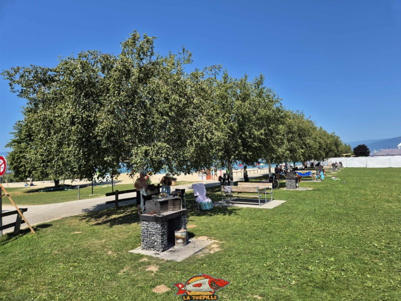 Pelouse, zone barbecue