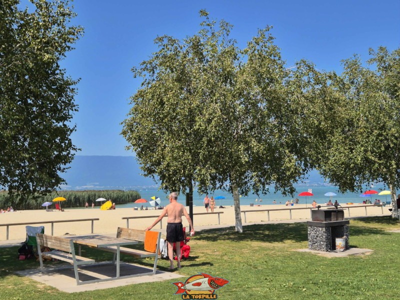 Pelouse, zone barbecue