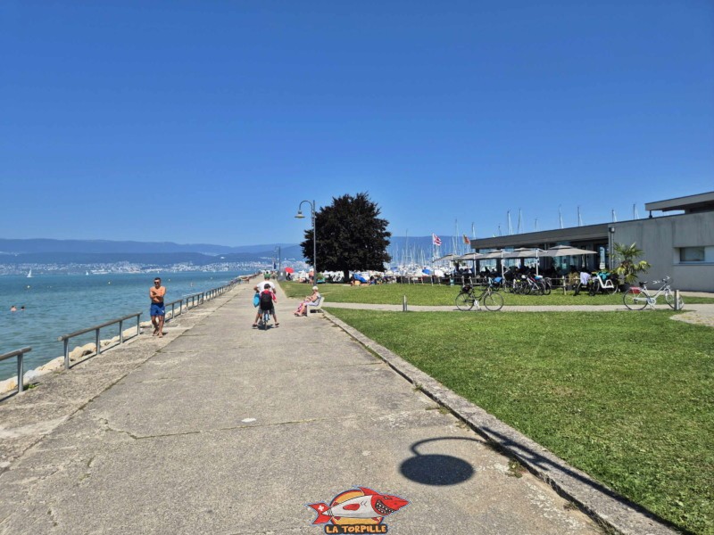 Pelouse, zone restaurant