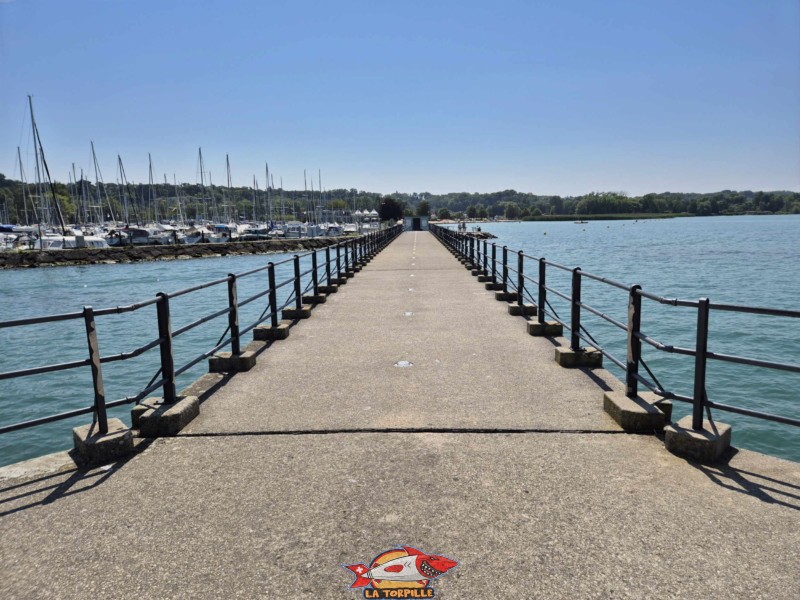 Ponton, Direction plage. Débarcadère de Portalban, compagnie LNM, lac de Neuchâtel