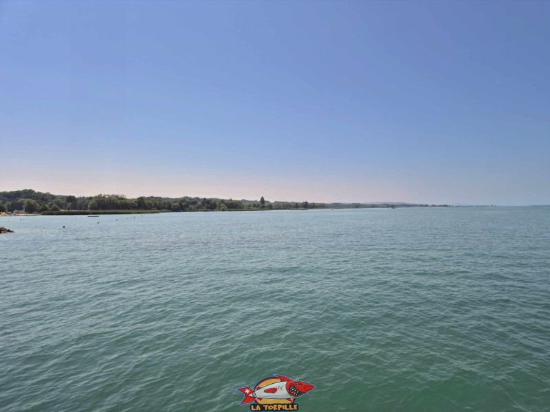 La Grande Cariçaie à l'ouest de la plage de Portalban.