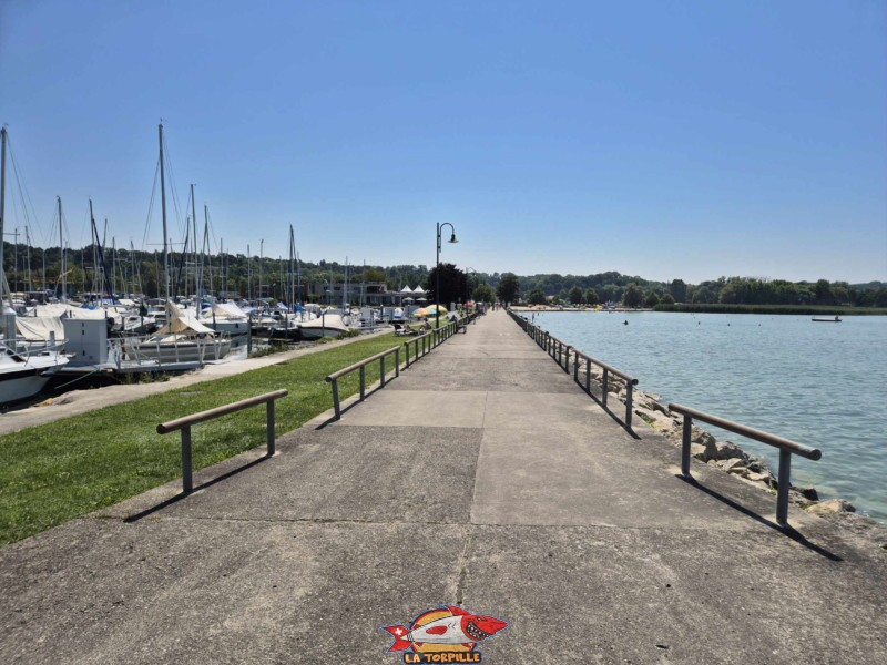 Enrochements & Digue, direction plage