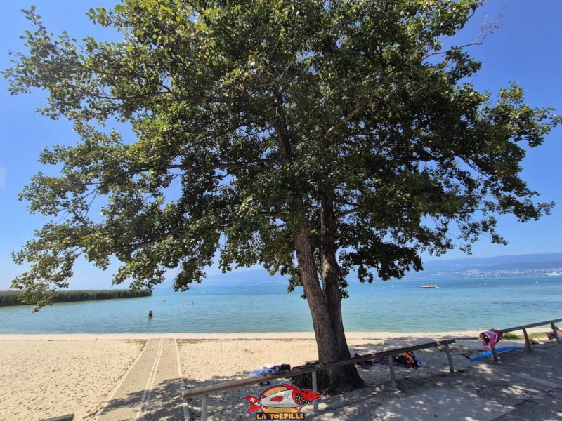 Zone sable, zone principale.