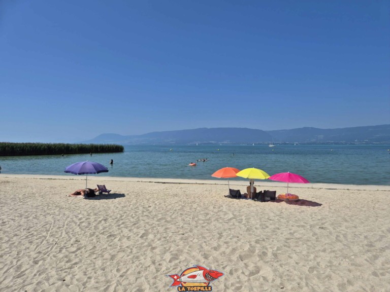 20250811 131929 plage portalban