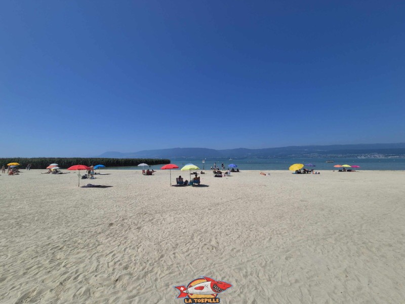 20250811 132049 plage portalban