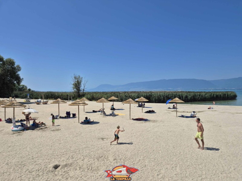 Zone sable, zone principale.