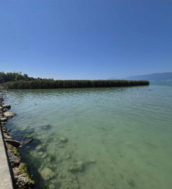 🏖️ Plage de Portalban