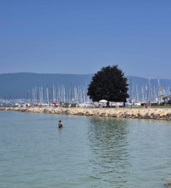 🏖️ Plage de Portalban