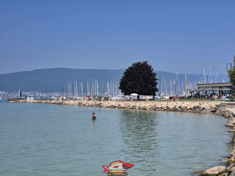 Enrochements & Digue, direction débarcadère