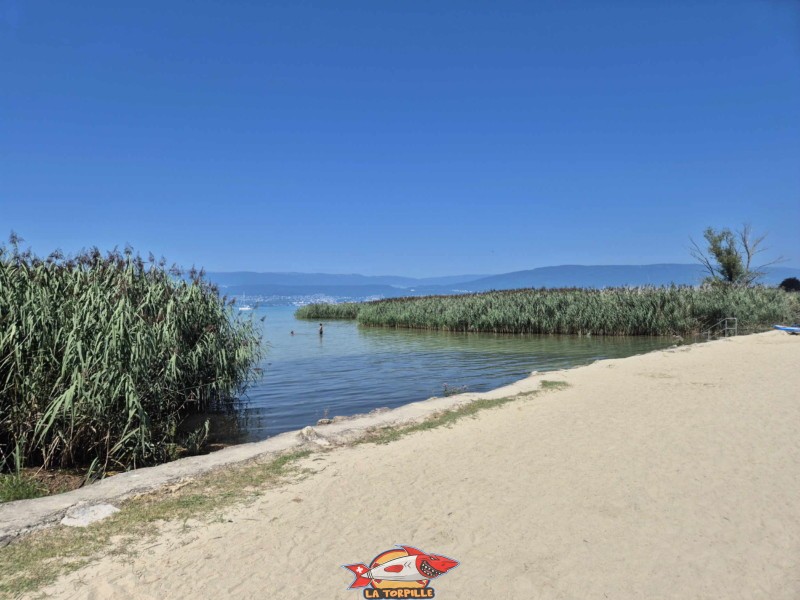 La zone paddle de la plage de Portalban.