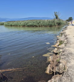 🏖️ Plage de Portalban