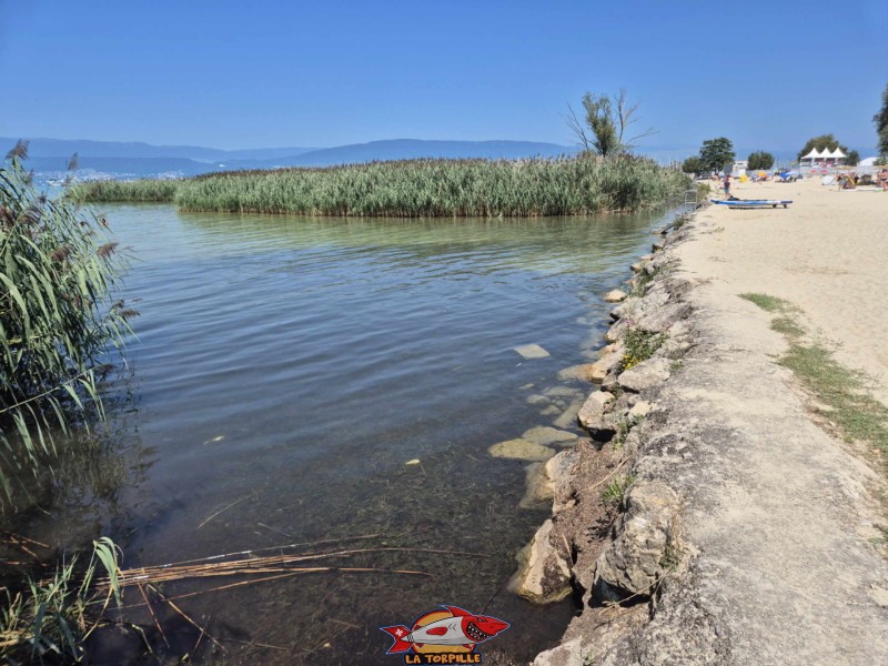 La zone paddle de la plage de Portalban.