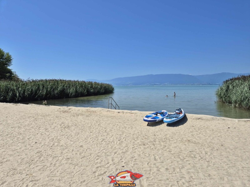 La zone paddle de la plage de Portalban.