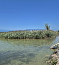 🏖️ Plage de Portalban