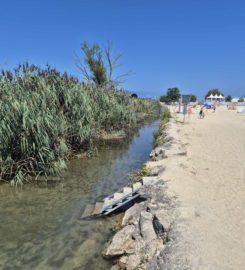 🏖️ Plage de Portalban