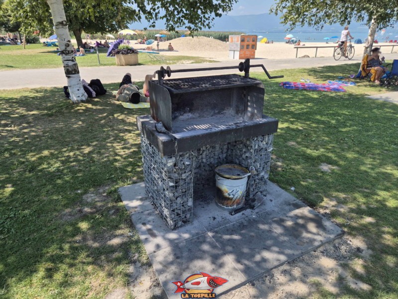 Pelouse, zone barbecue