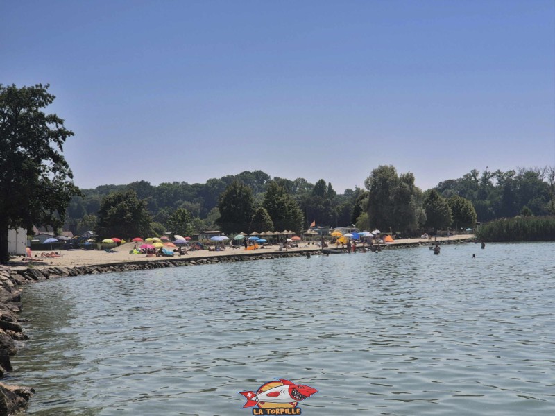 Enrochements & Digue, direction plage