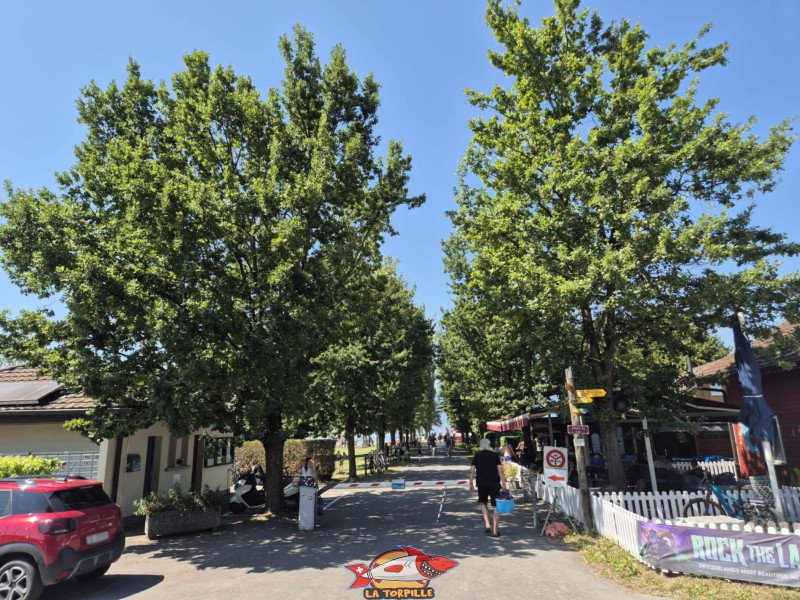 Toilettes. Plage de Cudrefin, Canton de Vaud, lac de Neuchâtel.