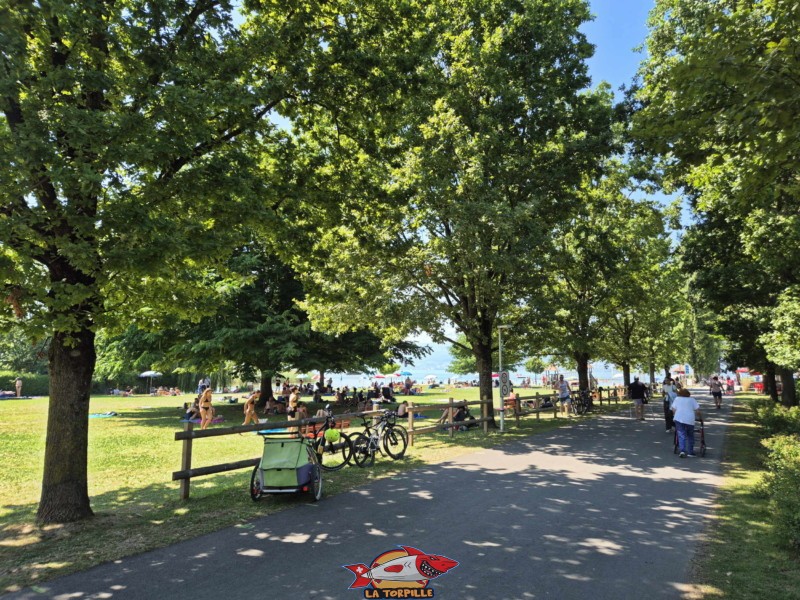 Route d'accès. Plage de Cudrefin, Canton de Vaud, lac de Neuchâtel.