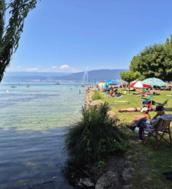 🏖️ Plage de Cudrefin