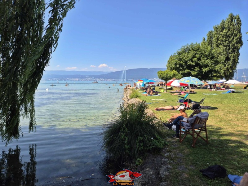Enrochements ouest. Plage de Cudrefin, Canton de Vaud, lac de Neuchâtel.