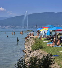 🏖️ Plage de Cudrefin