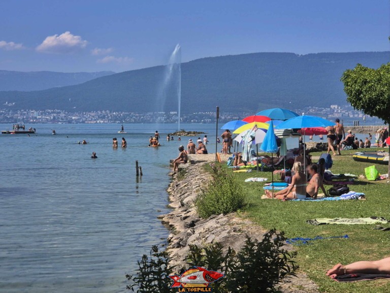 20250811 145145 plage cudrefin e1758453520776