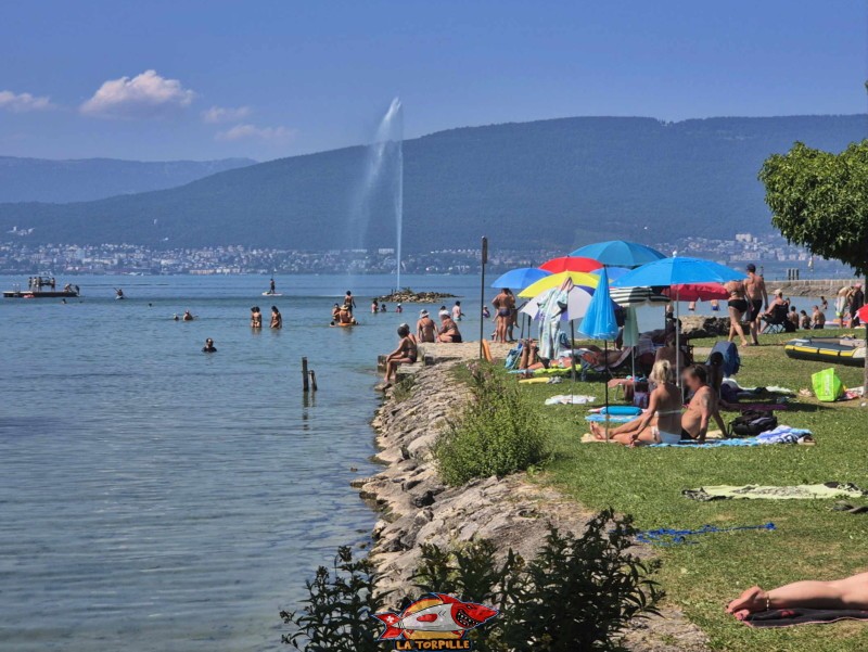 La plage de Cudrefin. Plage de Cudrefin, Canton de Vaud, lac de Neuchâtel.
