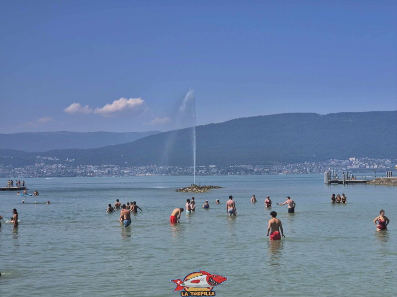 Jet d'eau. Plage de Cudrefin, Canton de Vaud, lac de Neuchâtel.