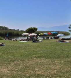 🏖️ Plage de Cudrefin