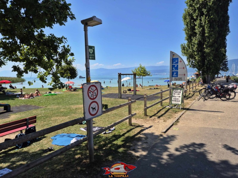 Route d'accès. Plage de Cudrefin, Canton de Vaud, lac de Neuchâtel.