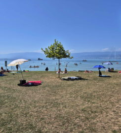 🏖️ Plage de Cudrefin