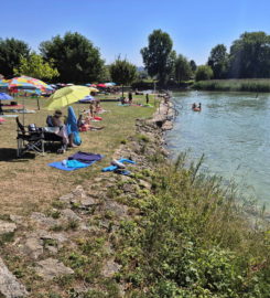 🏖️ Plage de Cudrefin