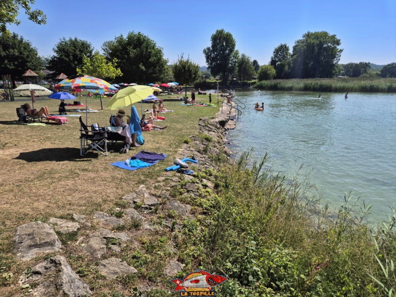 Enrochements nord. Plage de Cudrefin, Canton de Vaud, lac de Neuchâtel.