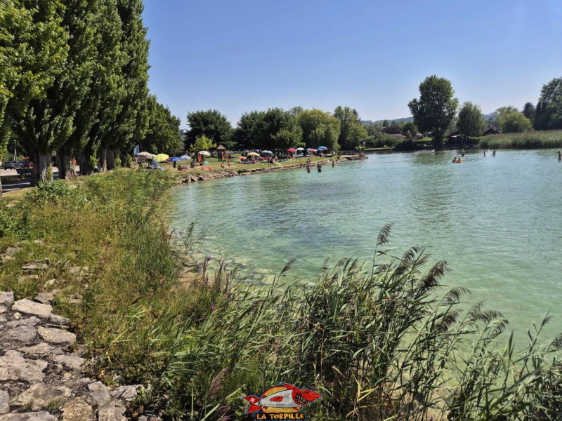 Vue d'ensemble. Plage de Cudrefin, Canton de Vaud, lac de Neuchâtel.