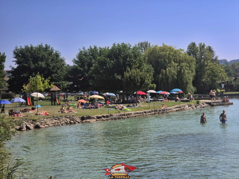 Enrochements nord. Plage de Cudrefin, Canton de Vaud, lac de Neuchâtel.